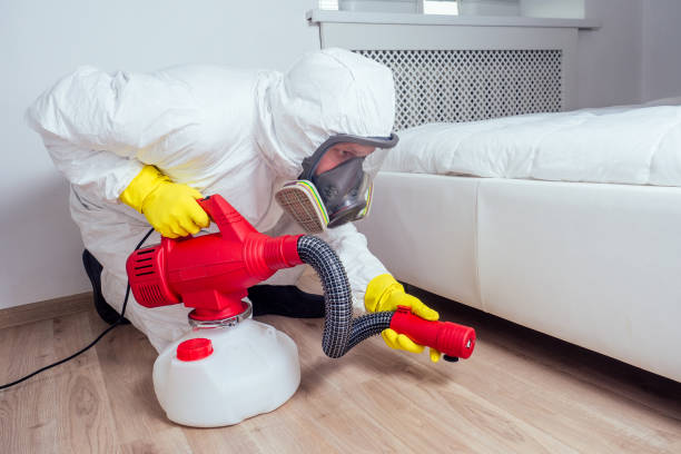 Best Pest Removal Services  in Oceanside, CA