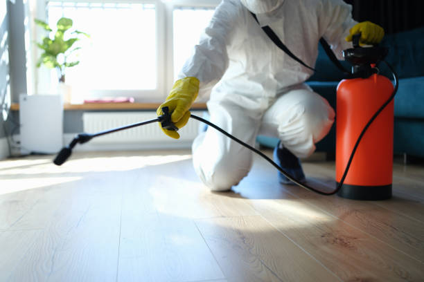 Reliable Oceanside, CA Pest Control Solutions