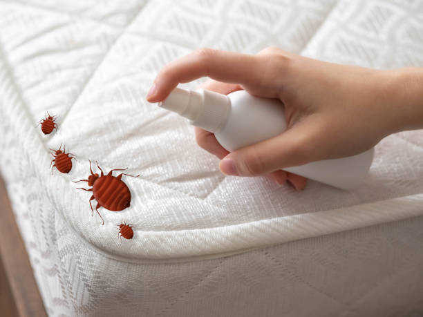 Best Best Pest Control Companies  in Oceanside, CA