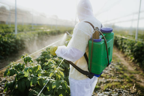 Best Pest Prevention Services  in Oceanside, CA